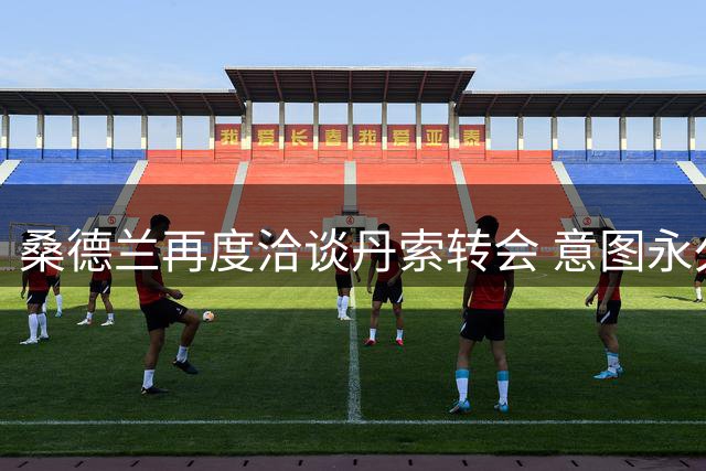 桑德兰再度洽谈丹索转会 意图永久引进热刺后卫